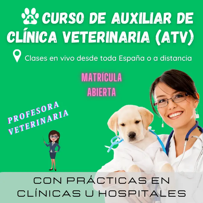 curso auxiliar veterinario online - Cuánto dura la carrera de auxiliar veterinario