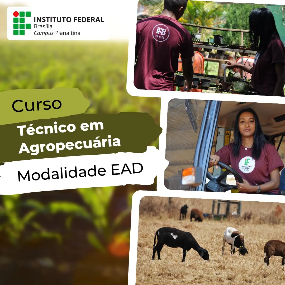 curso tecnico agropecuaria a distancia - Cuánto dura la carrera de técnico agrícola