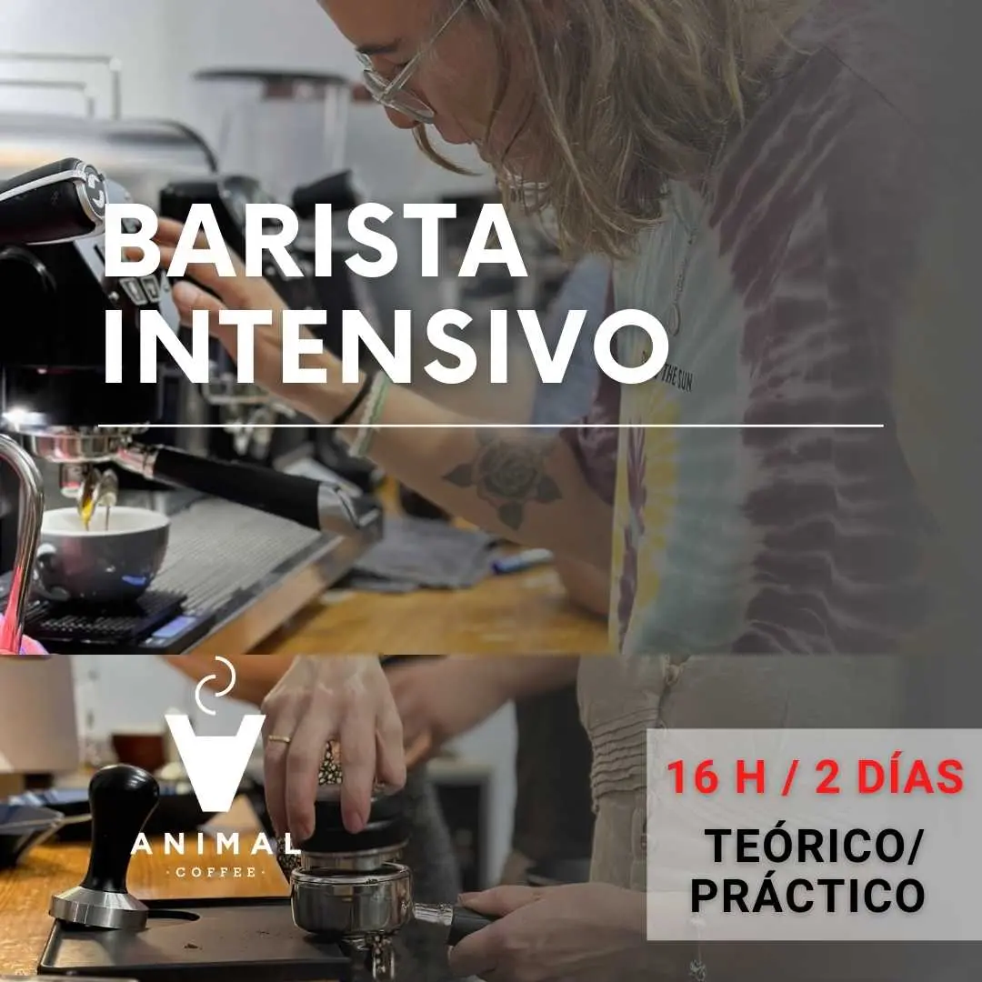 curso de cafe - Cuánto dura un curso de café