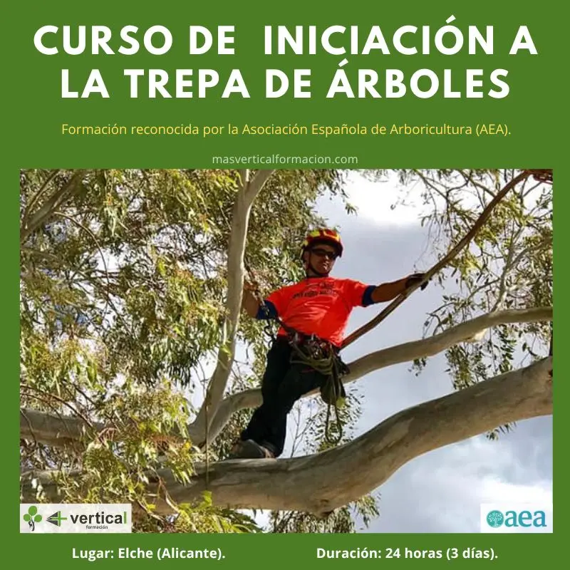 Curso Arborista: La Guía Definitiva para Convertirte en un Profesional - Cuánto gana un arborista curso arborista - Cuánto gana un arborista