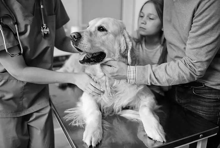 curso de atv - Cuánto gana un ATV