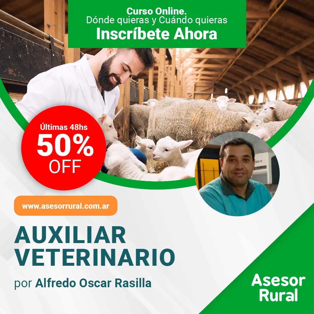 curso auxiliar veterinario chile online - Cuánto gana un auxiliar de veterinaria en Chile