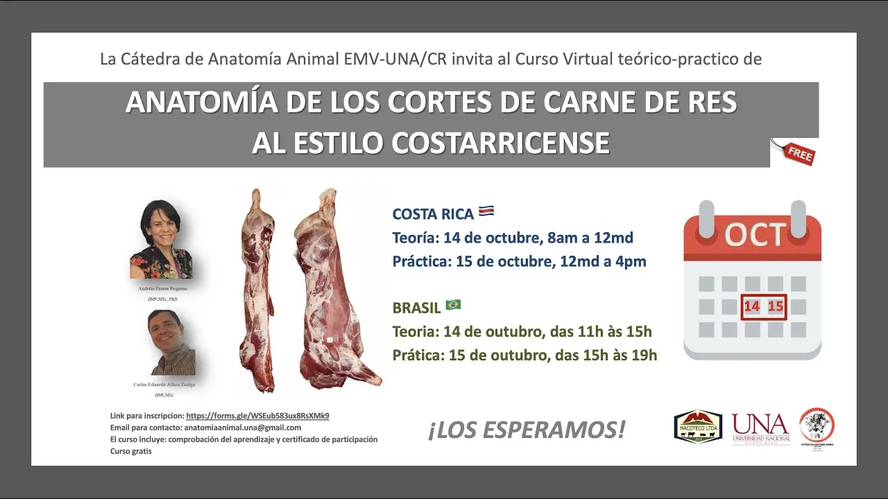 curso de corte de carnes gratis - Cuánto gana un cortador de carne en Estados Unidos