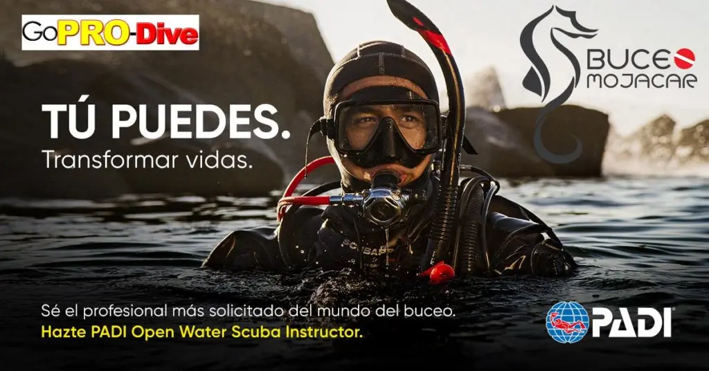 curso instructor de buceo precio - Cuánto gana un instructor de buceo en Estados Unidos