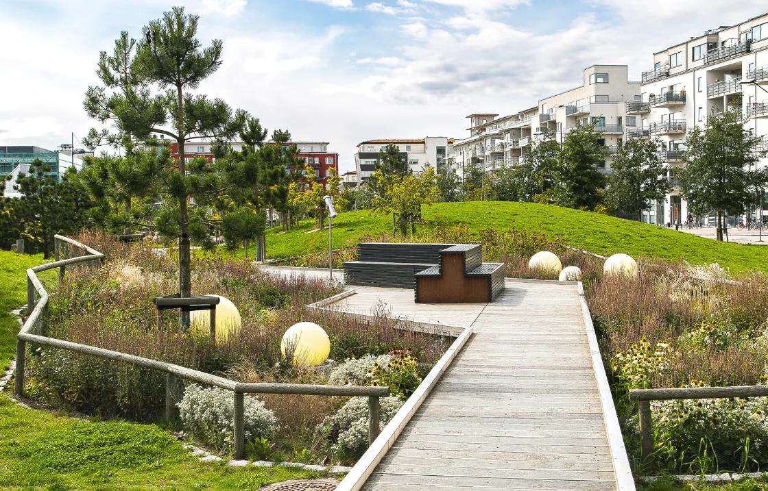 curso de paisajismo online argentina - Cuánto gana un paisajista en Argentina