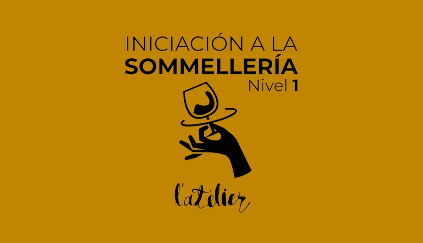 Curso Sommelier Barcelona: Guía Completa para Convertirte en Experto en Vino - Cuánto gana un sommelier en Barcelona curso sommelier barcelona - Cuánto gana un sommelier en Barcelona