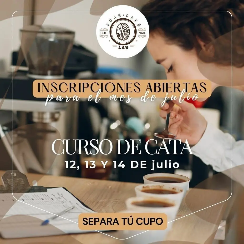 Curso de Catación de Café: Guía Completa para Conocer el Mundo del Café de Especialidad - Cuánto le pagan a un catador de café curso de catacion de cafe - Cuánto le pagan a un catador de café
