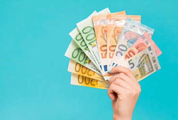 cursos de educacion canina - Cuánto se cobra para adiestrar a un perro