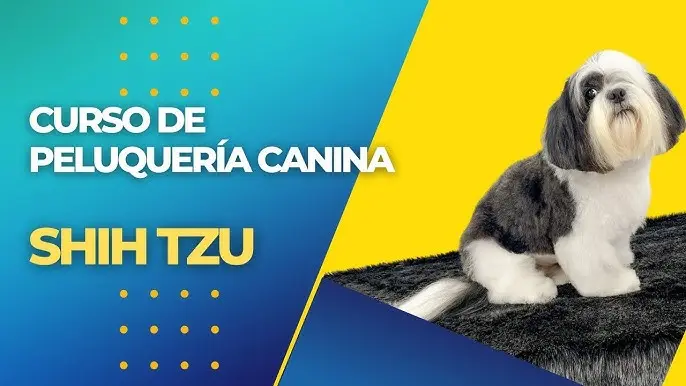 curso de corte para perros - Cuánto se cobra por cortar el pelo a un perro
