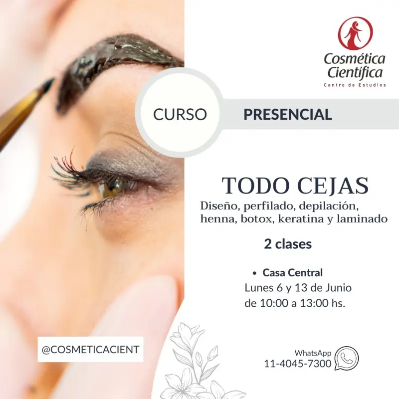 curso de perfilado de cejas con henna - Cuánto se cobra por hacer cejas con henna