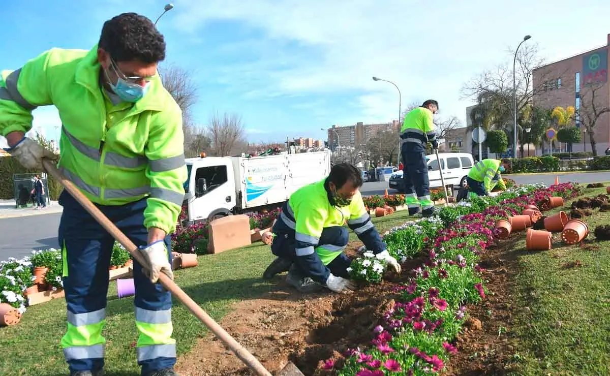 curso de jardineria online - Cuánto se cobra por un trabajo de jardinería