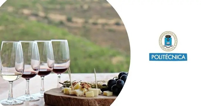 curso de vinos online gratis - Cuánto se le gana a los vinos