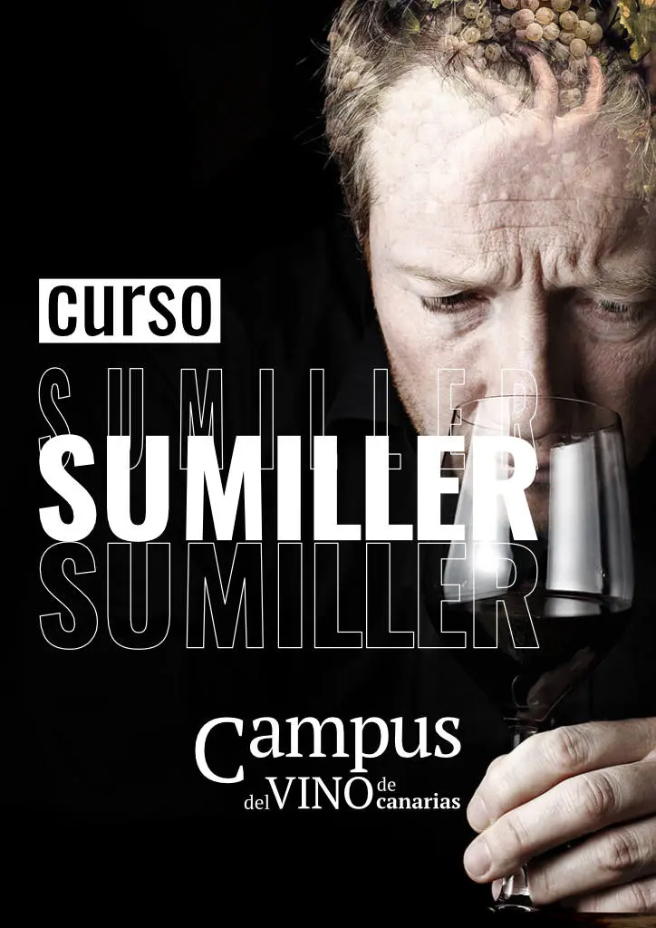 curso de sumiller - Cuánto tiempo se estudia para sommelier