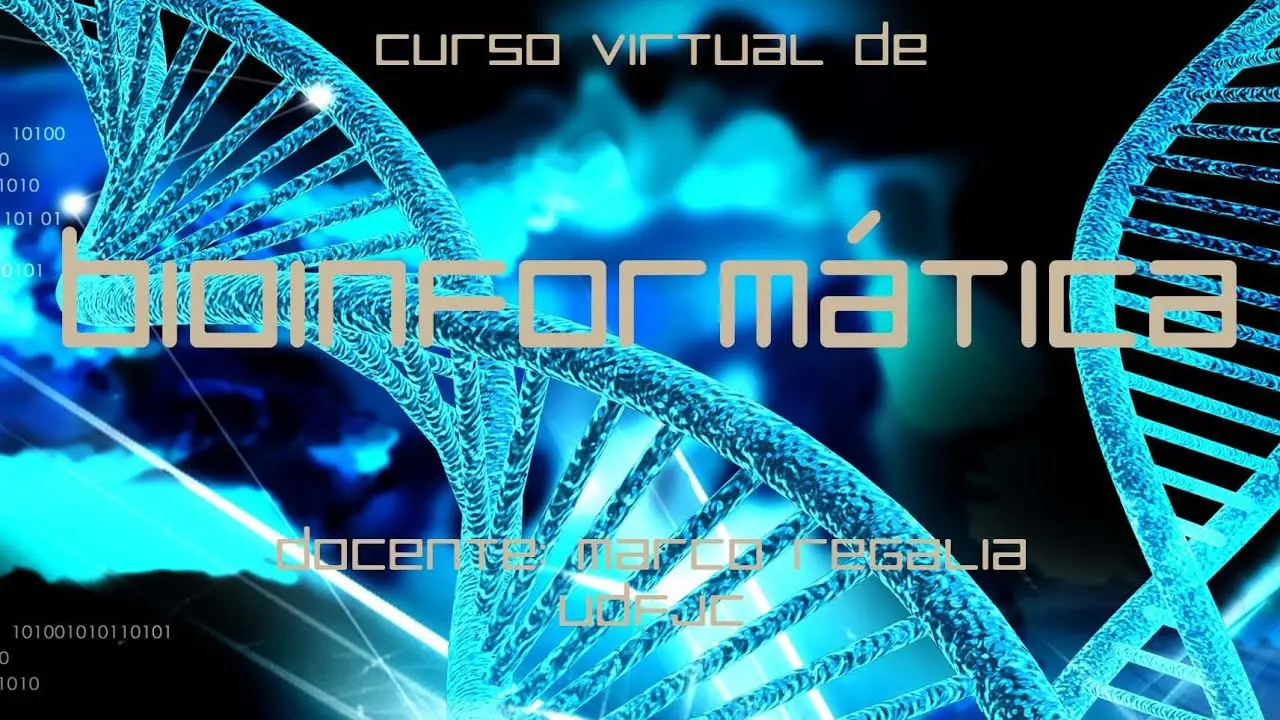 bioinformatica curso - Cuánto tiempo se tarda en aprender bioinformática