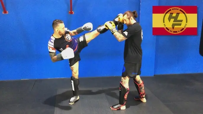Curso de MMA: Guía completa para principiantes y avanzados - Cuánto tiempo se tarda en aprender MMA curso de mma - Cuánto tiempo se tarda en aprender MMA