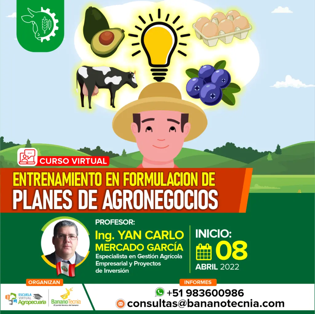 Curso de Agronegocios: Una Guía Completa - Cuántos años dura la carrera de agronegocios curso agronegocios - Cuántos años dura la carrera de agronegocios