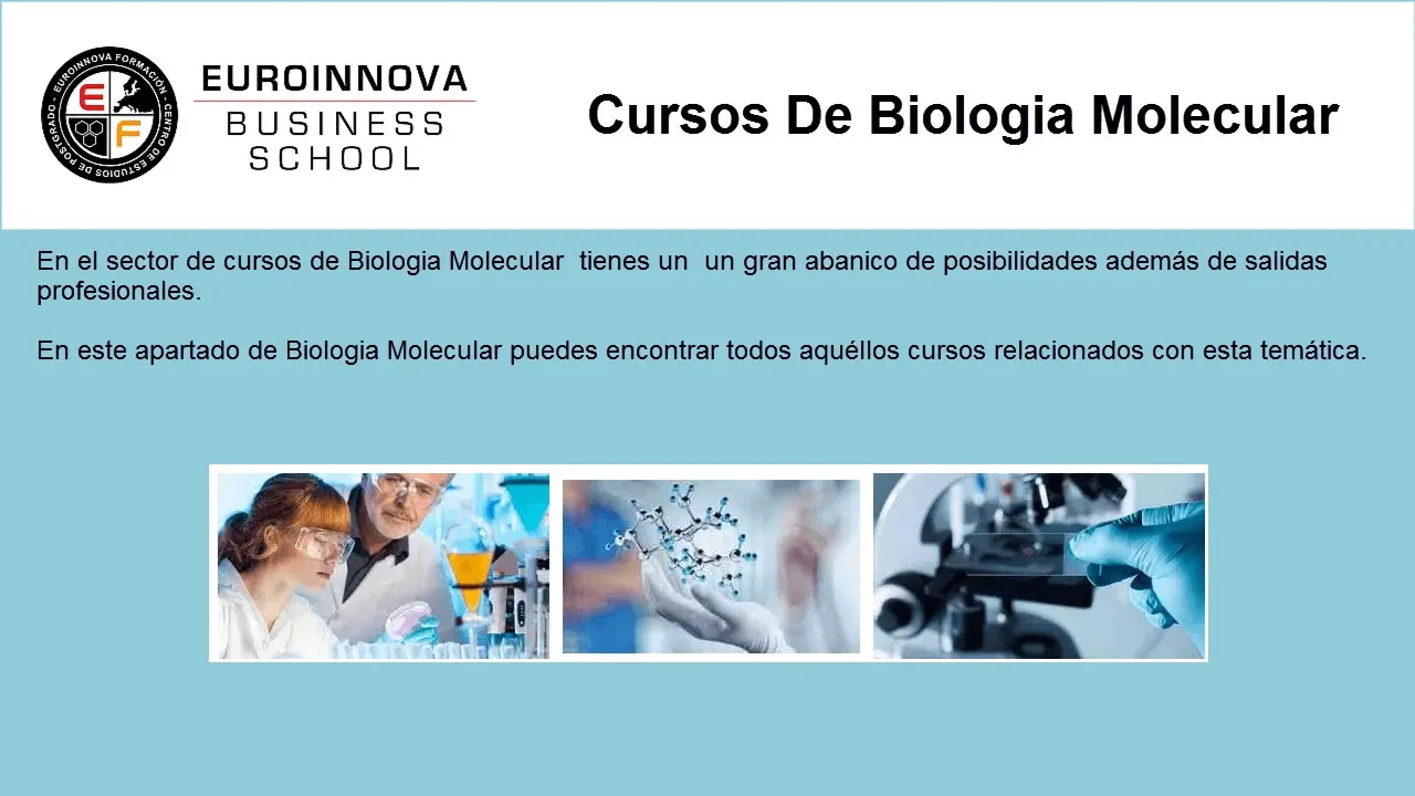 biologia molecular curso - Cuántos años dura la carrera de Biología Molecular