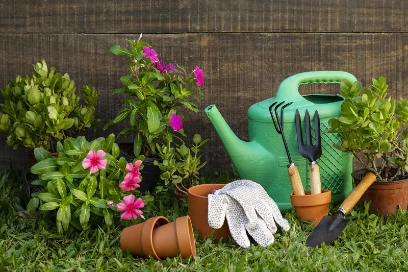 cursos de jardinería gratis en capital federal - Cuántos años dura la carrera de jardinería