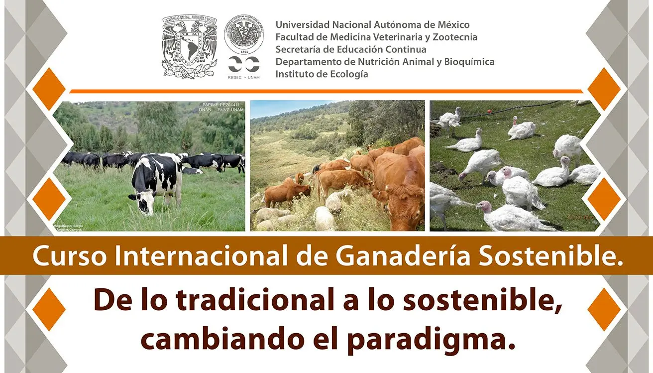 cursos de ganaderia - Cuántos años se estudia ganadería