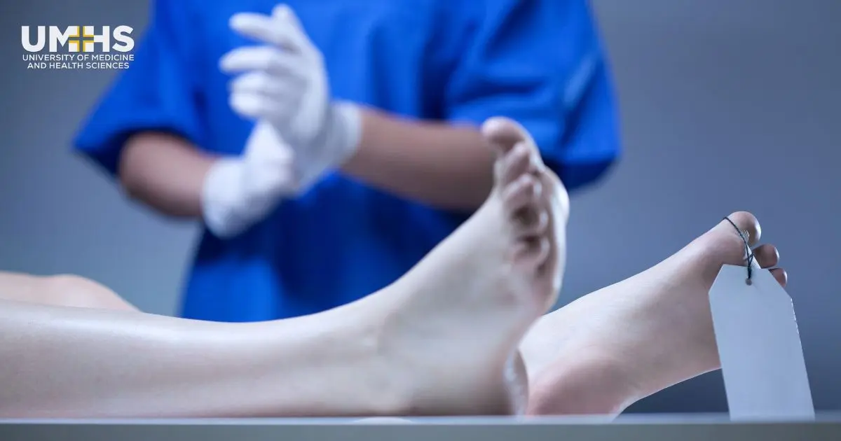 curso de patologia forense - Cuántos años son de patología forense