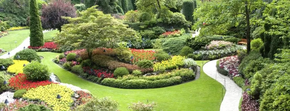 curso gratuito de paisajismo - Cuántos años tiene la carrera de paisajismo