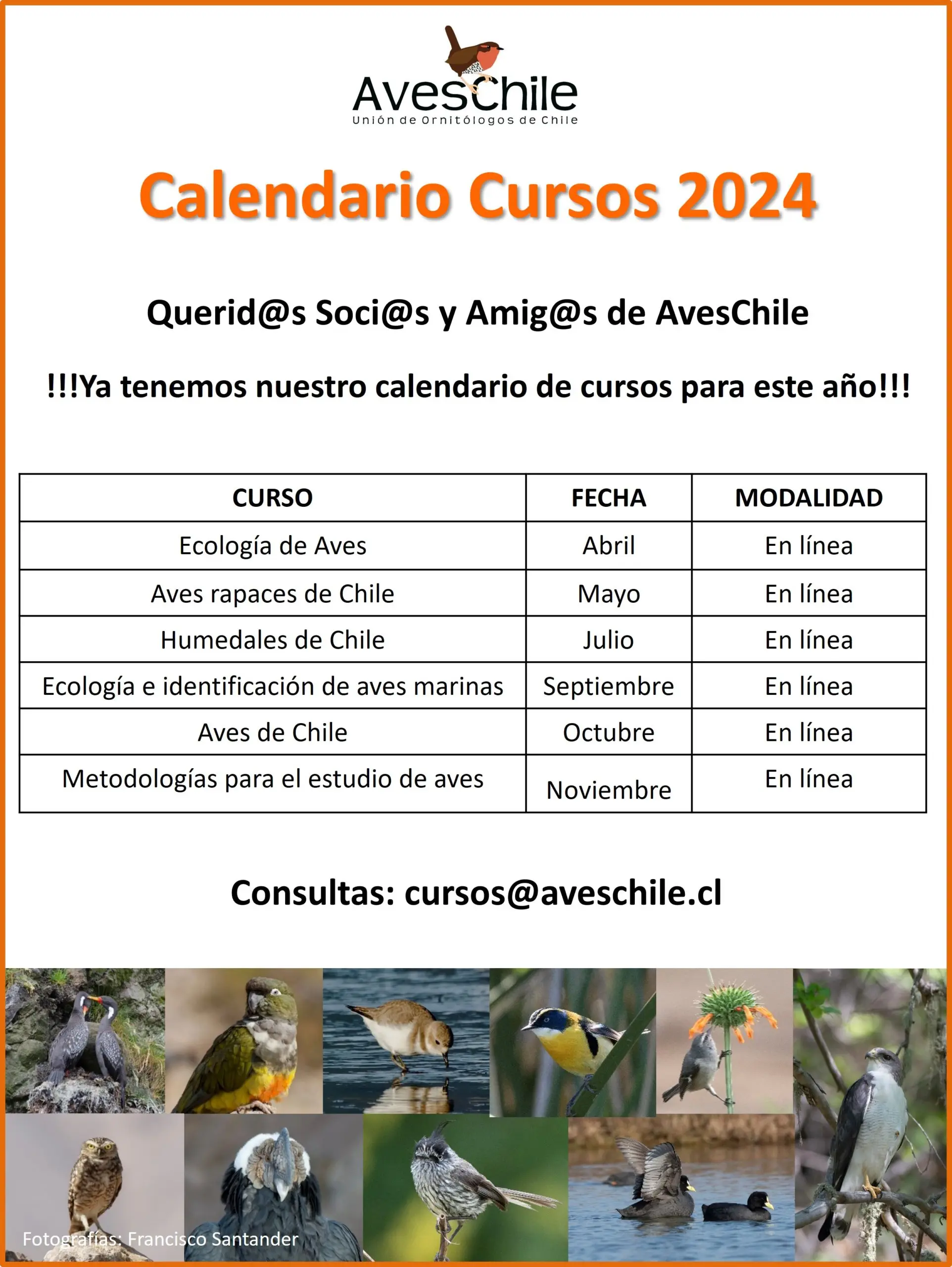 cursos en chile - Cuántos cursos hay en Chile