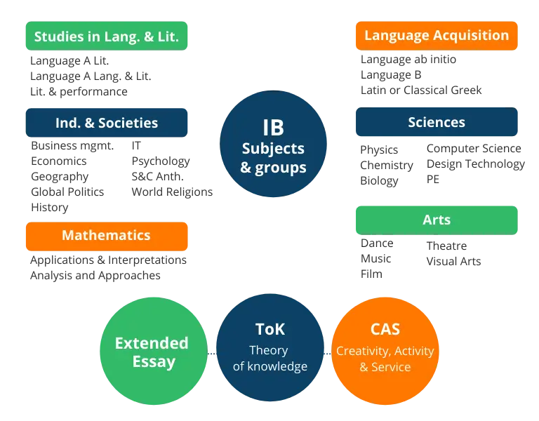 cursos ib - Cuántos cursos se llevan en el IB