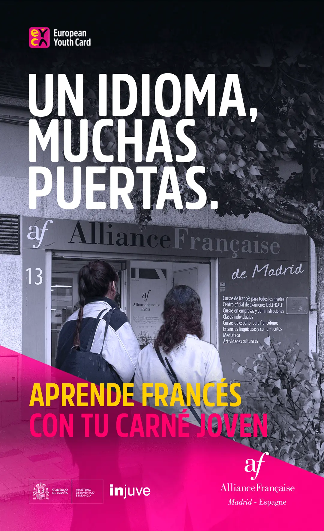 Alianza Francesa Cursos: Precios, Duración y Más - Cuántos cursos son en la Alianza Francesa alliance francaise cursos - Cuántos cursos son en la Alianza Francesa