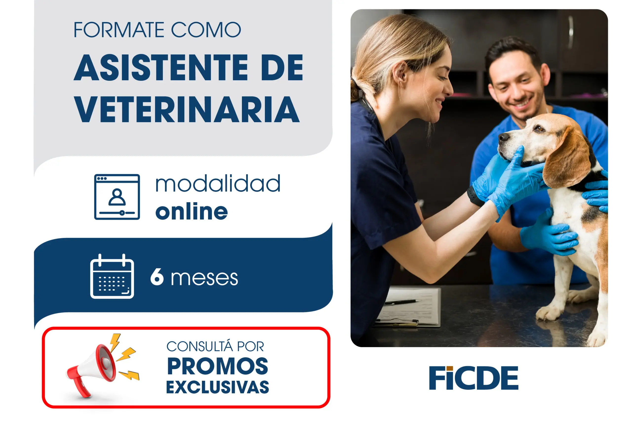 curso auxiliar veterinario chile online - Dónde estudiar auxiliar de veterinaria en Chile