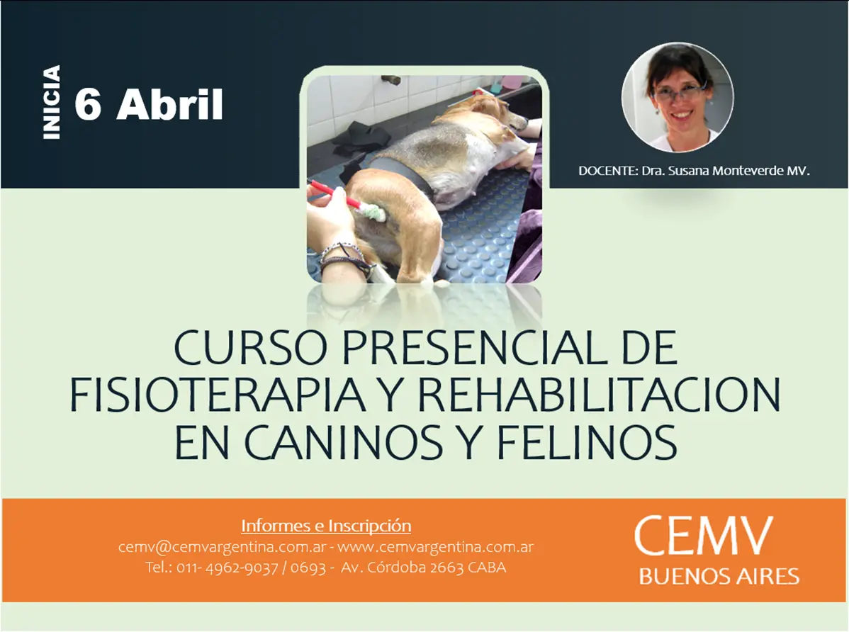 fisioterapia veterinaria cursos argentina - Dónde estudiar fisioterapia veterinaria en Sudáfrica