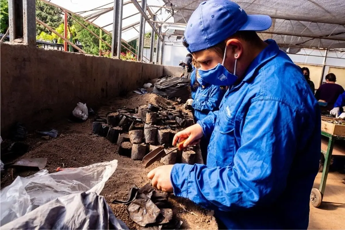 curso de jardineria rosario - Dónde estudiar Jardinería en Lima