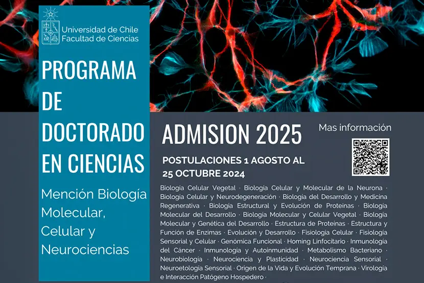 curso de neurociencias chile - Dónde estudiar neurociencia en Chile