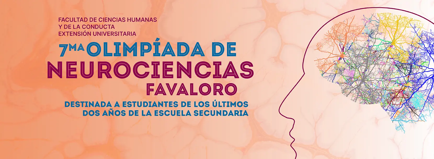 curso neurociencias favaloro - Dónde estudiar neurociencia en Colombia