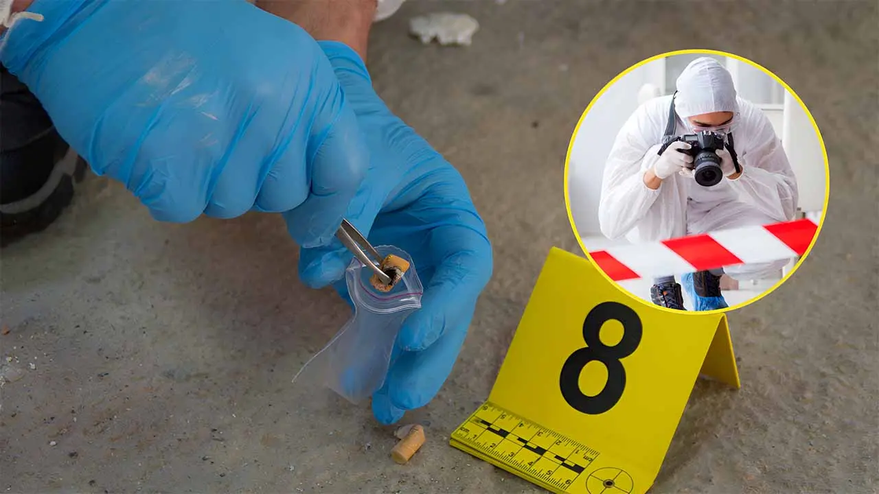 Curso Perito Forense: Guía Completa para tu Formación - Dónde estudiar para ser perito forense curso perito forense - Dónde estudiar para ser perito forense