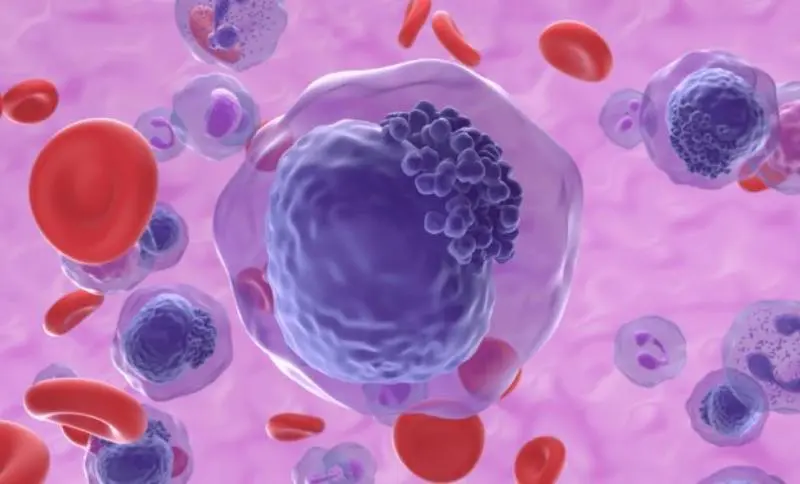 <b>Curso de Histología</b>: Guía Completa para el Estudio de Tejidos - Dónde puedo estudiar histología curso de histologia - Dónde puedo estudiar histología