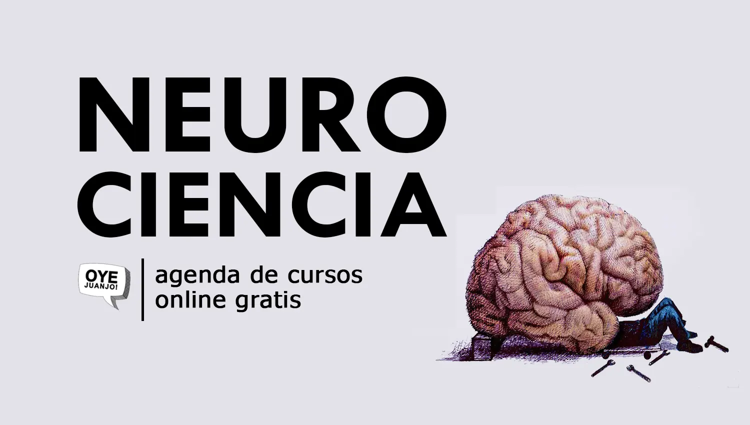 cursos de neurociencias gratis - Dónde puedo estudiar neurociencias