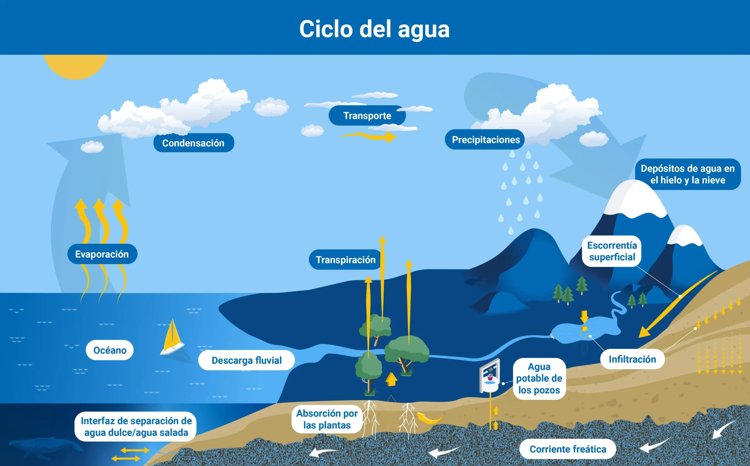 los cursos de agua y su importancia - Por qué es importante estudiar el tema del agua