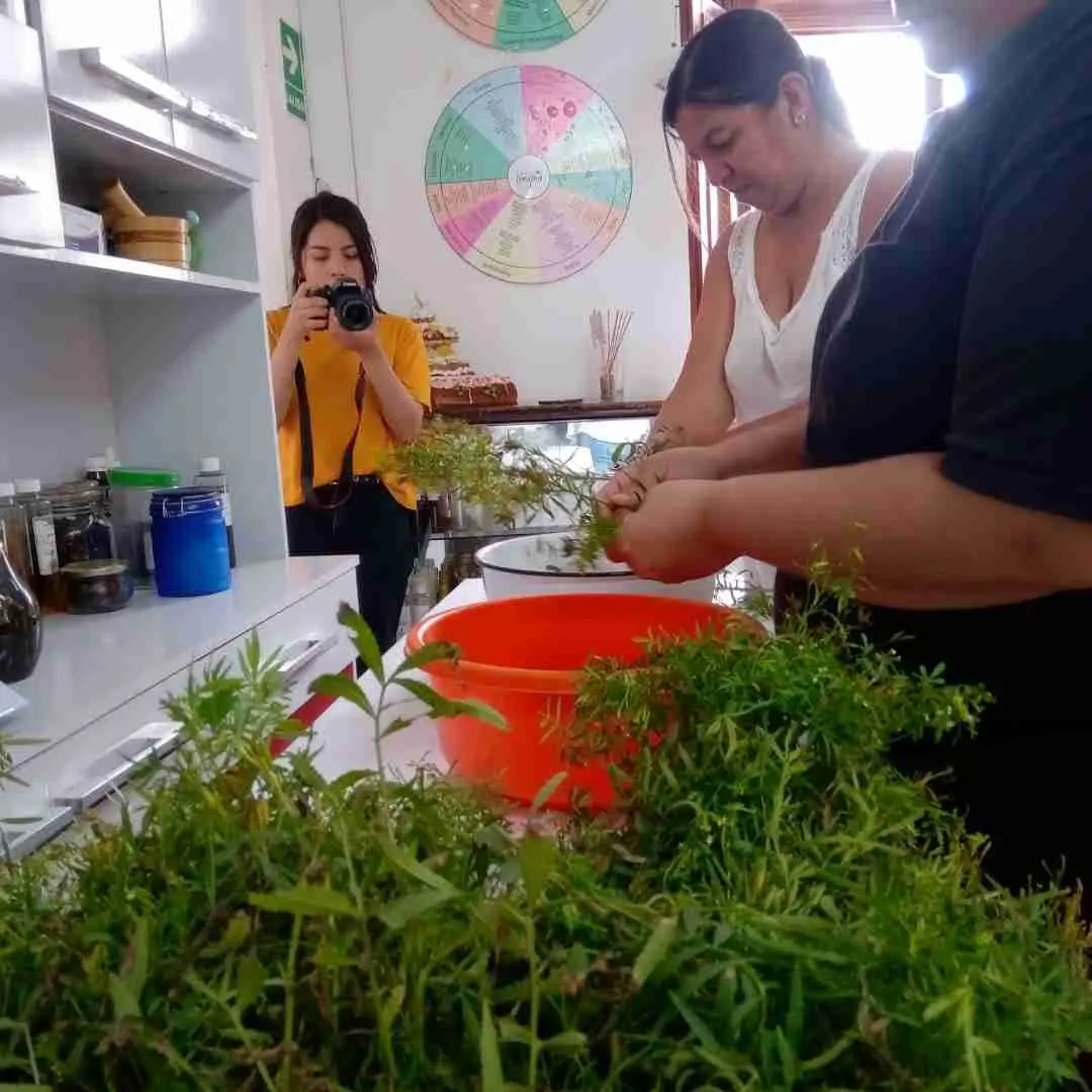 curso de destilacion de aceites esenciales - Qué alcohol se usa para aceites esenciales