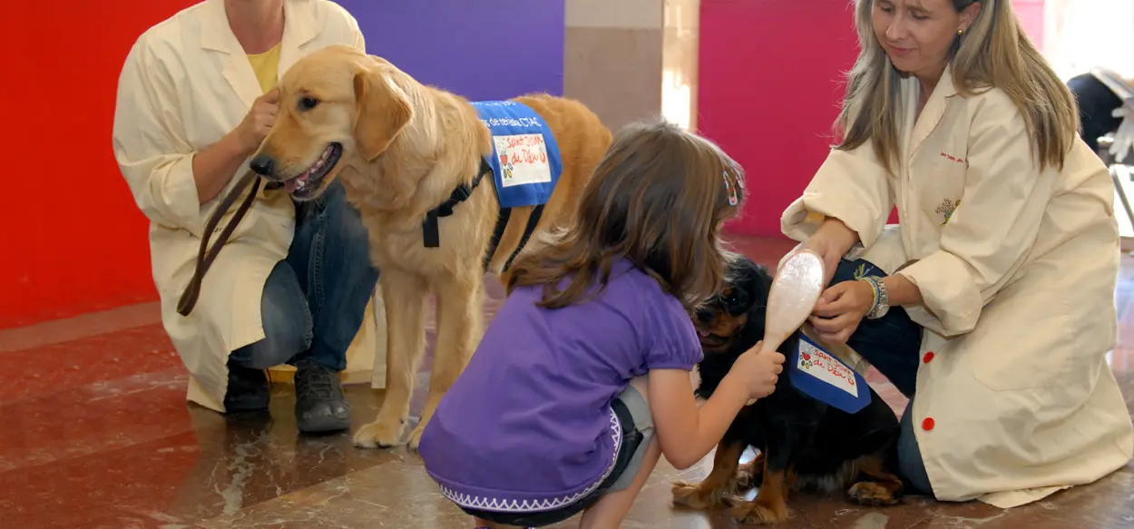 cursos de zooterapia en buenos aires - Qué animales se utilizan para la zooterapia