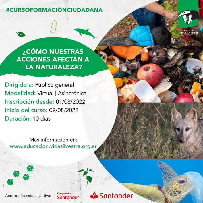 Fundación Vida Silvestre: Cursos y Programas para la Conservación - Qué beneficios tiene la vida silvestre fundacion vida silvestre cursos - Qué beneficios tiene la vida silvestre