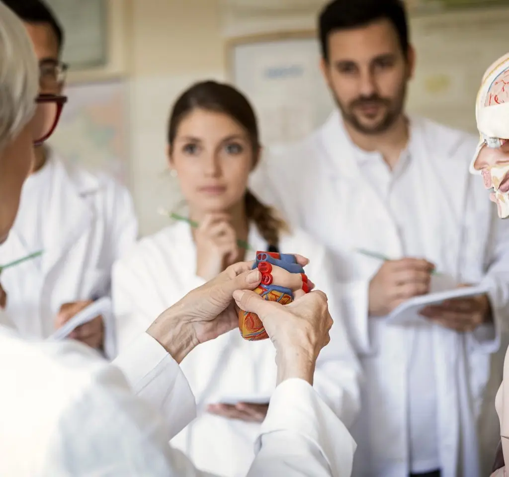 curso ciencias medicas - Qué carrera es ciencias médicas