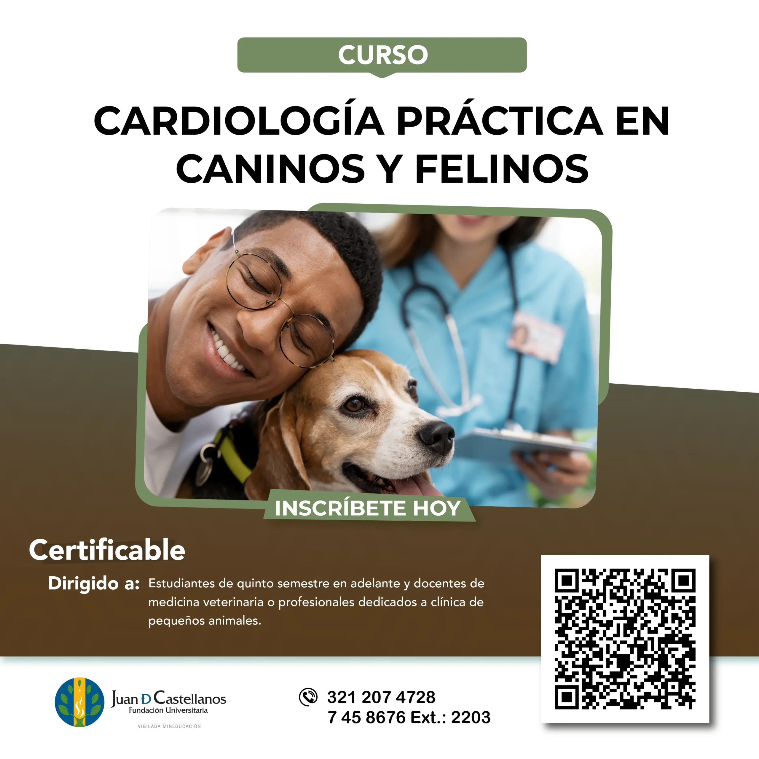 facultad de veterinaria cursos - Qué carreras hay en la facultad de veterinaria