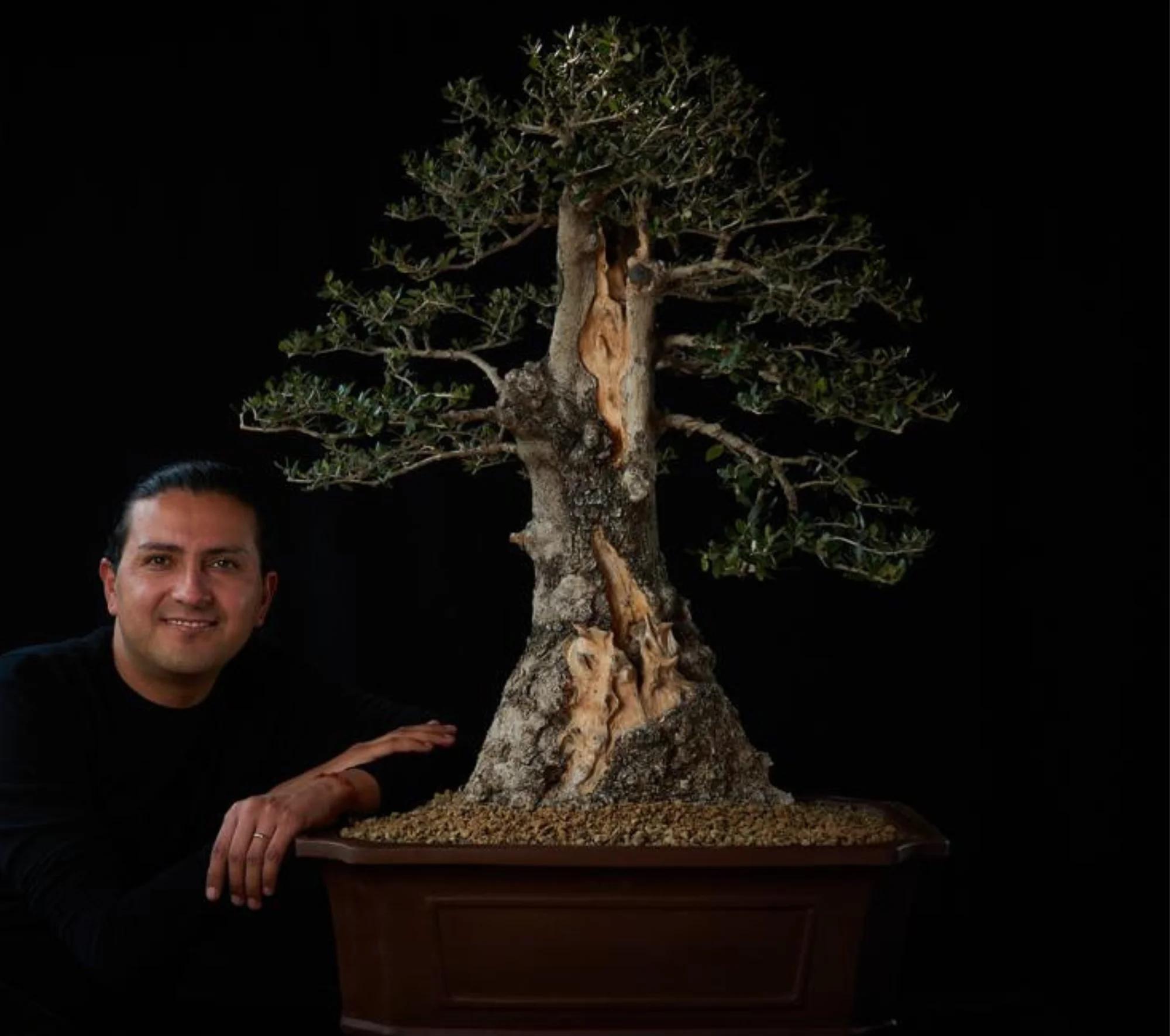 curso de bonsai presencial - Qué clase de bonsái es la más recomendable de tener