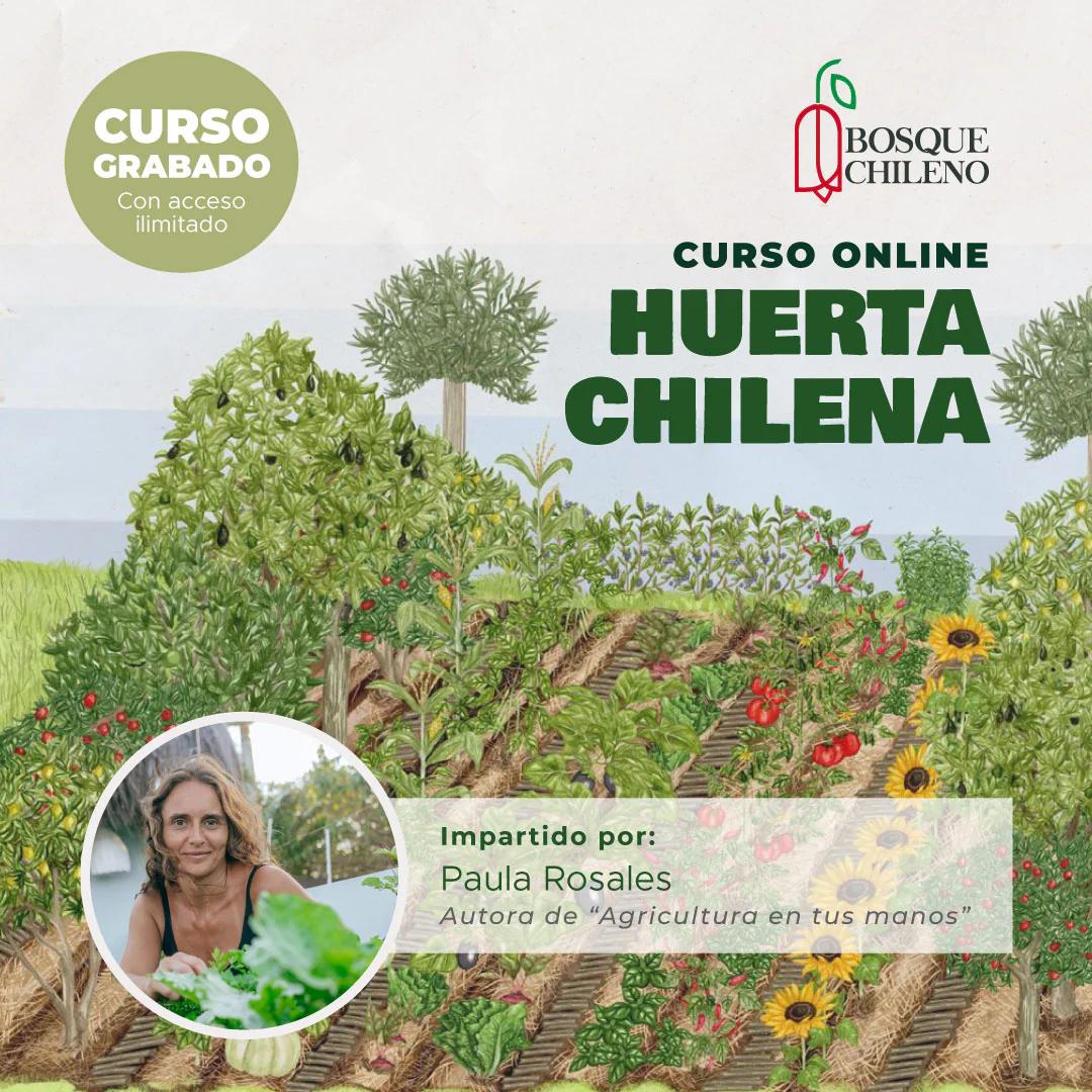 curso de huerta - Qué diferencia hay entre un huerto y una huerta