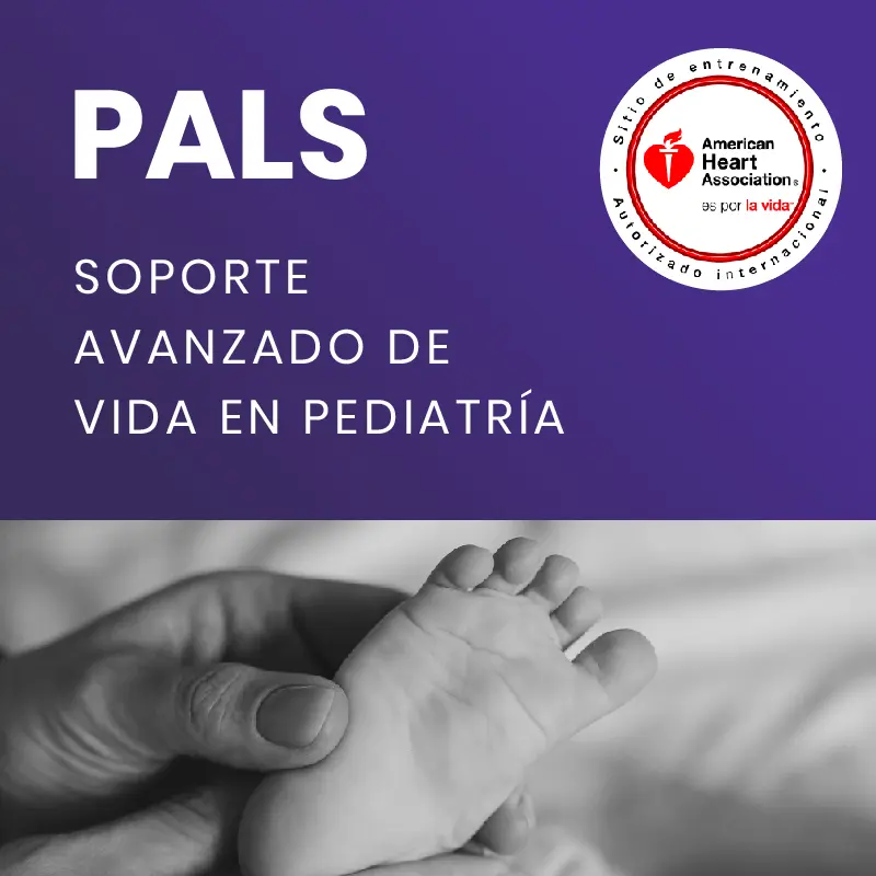 pals curso - Qué es el curso de PALS