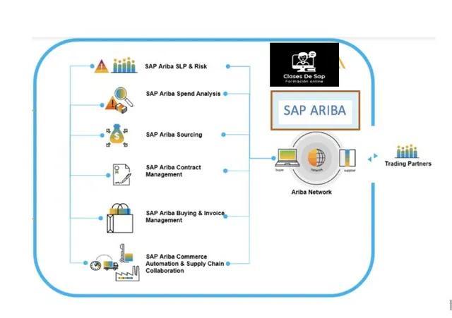 curso sap ariba - Qué es el curso de SAP Ariba