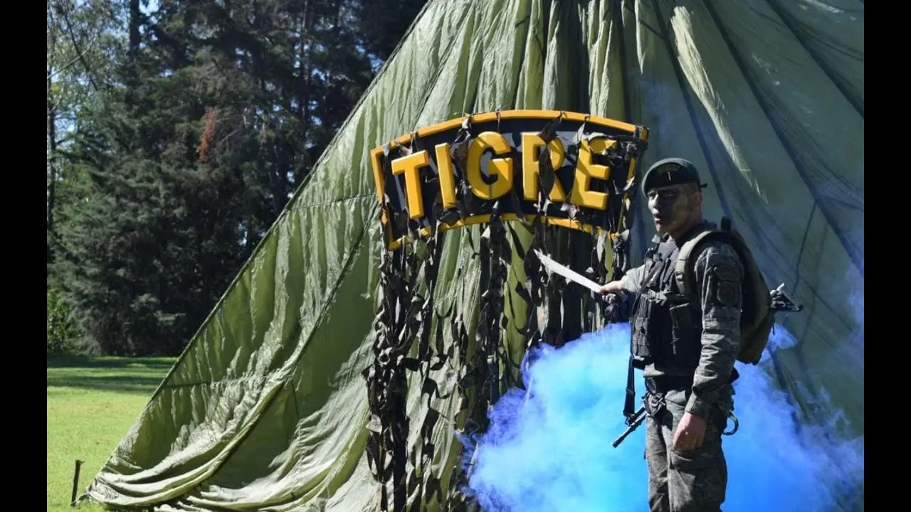 cursos tigre - Qué es el curso tigre