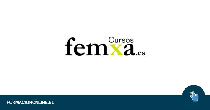 cursos femxa - Qué es el grupo Femxa