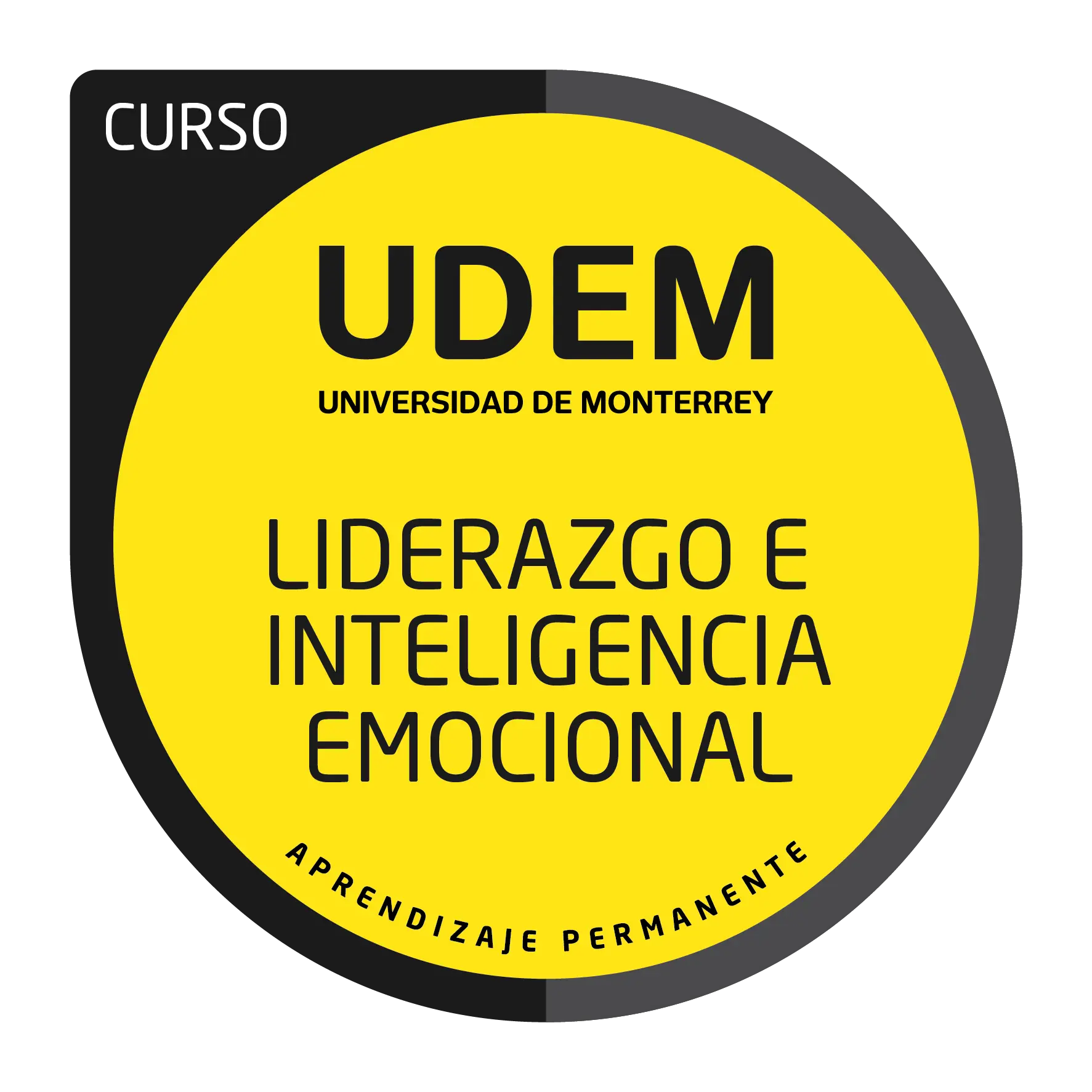 curso liderazgo e inteligencia emocional - Qué es el liderazgo e inteligencia emocional