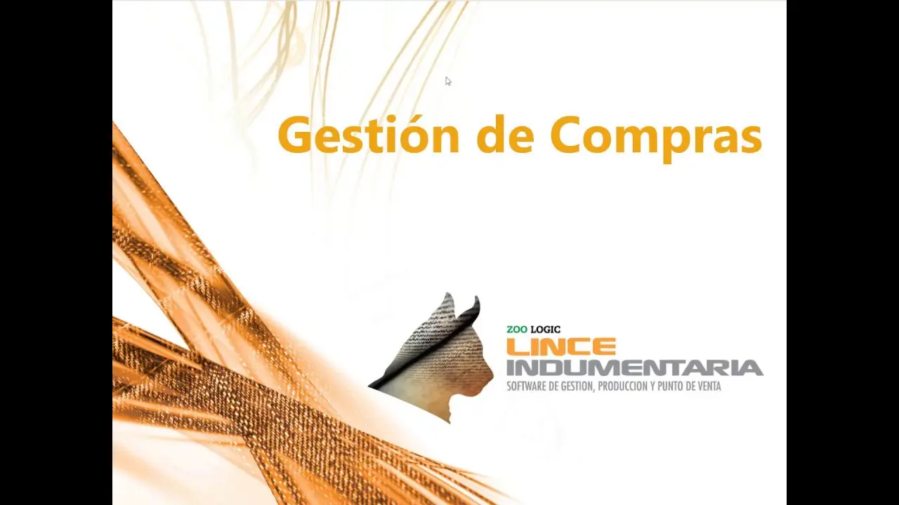 curso lince indumentaria - Qué es el programa Lince